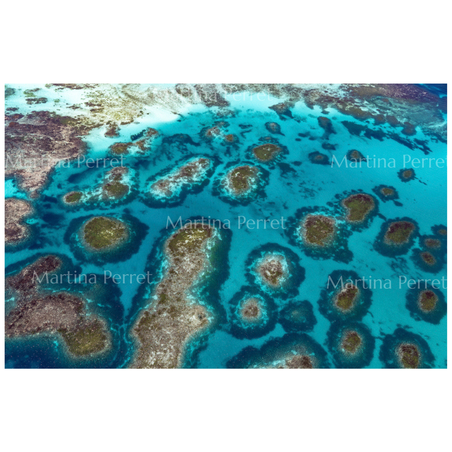 Abrolhos Turquoise | Martine Perret
