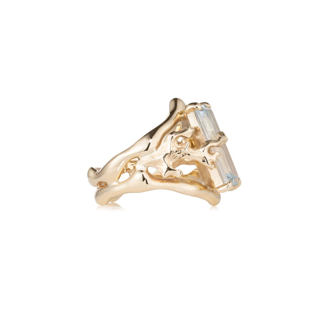 Johannason and Fire Ring
