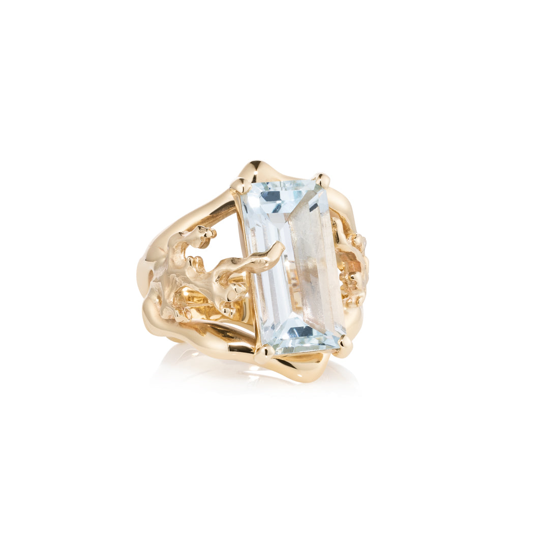 Johannason and Fire Ring
