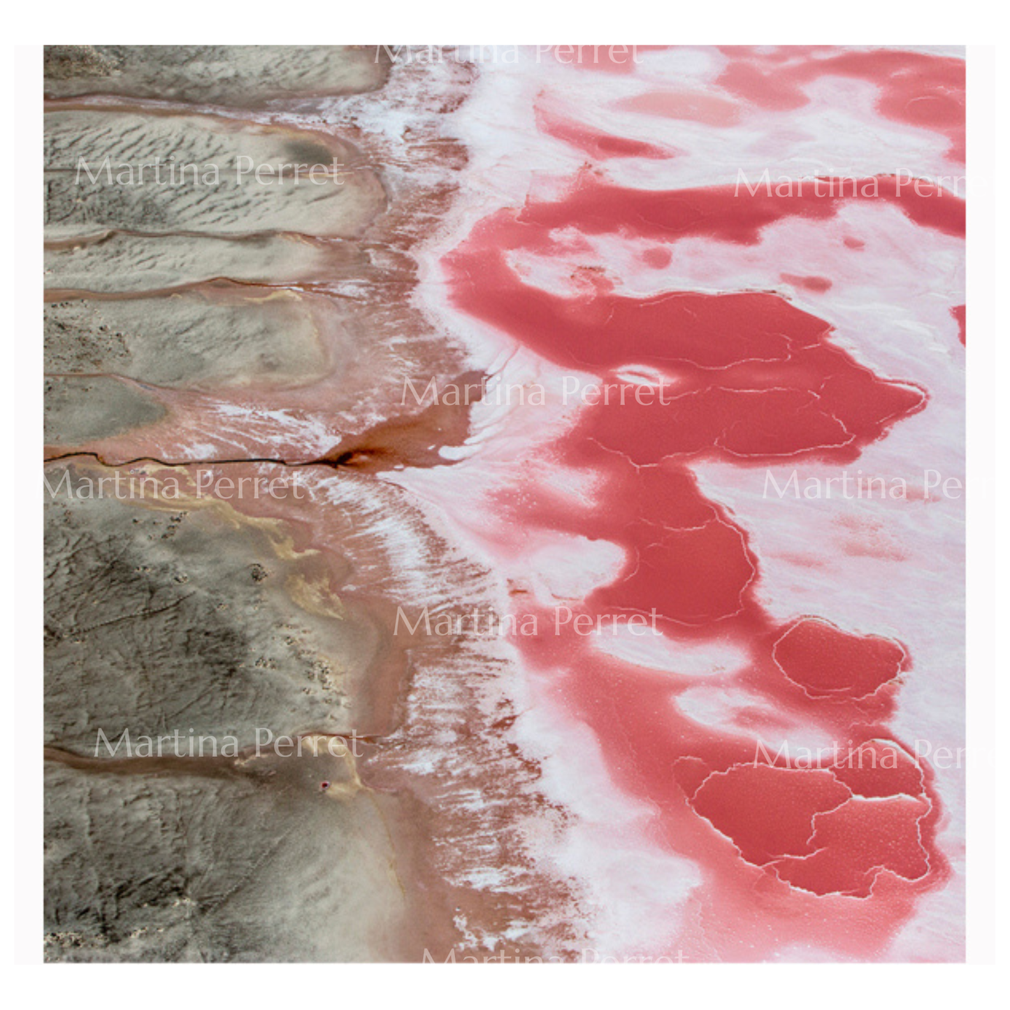 Sel Rose SQ 2026 | Martine Perret