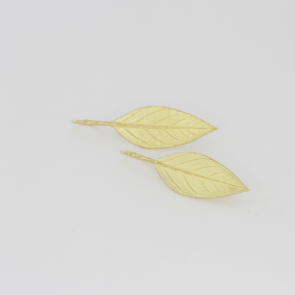 Avocado Leaf Earrings
