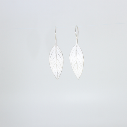 Avocado Leaf Earrings