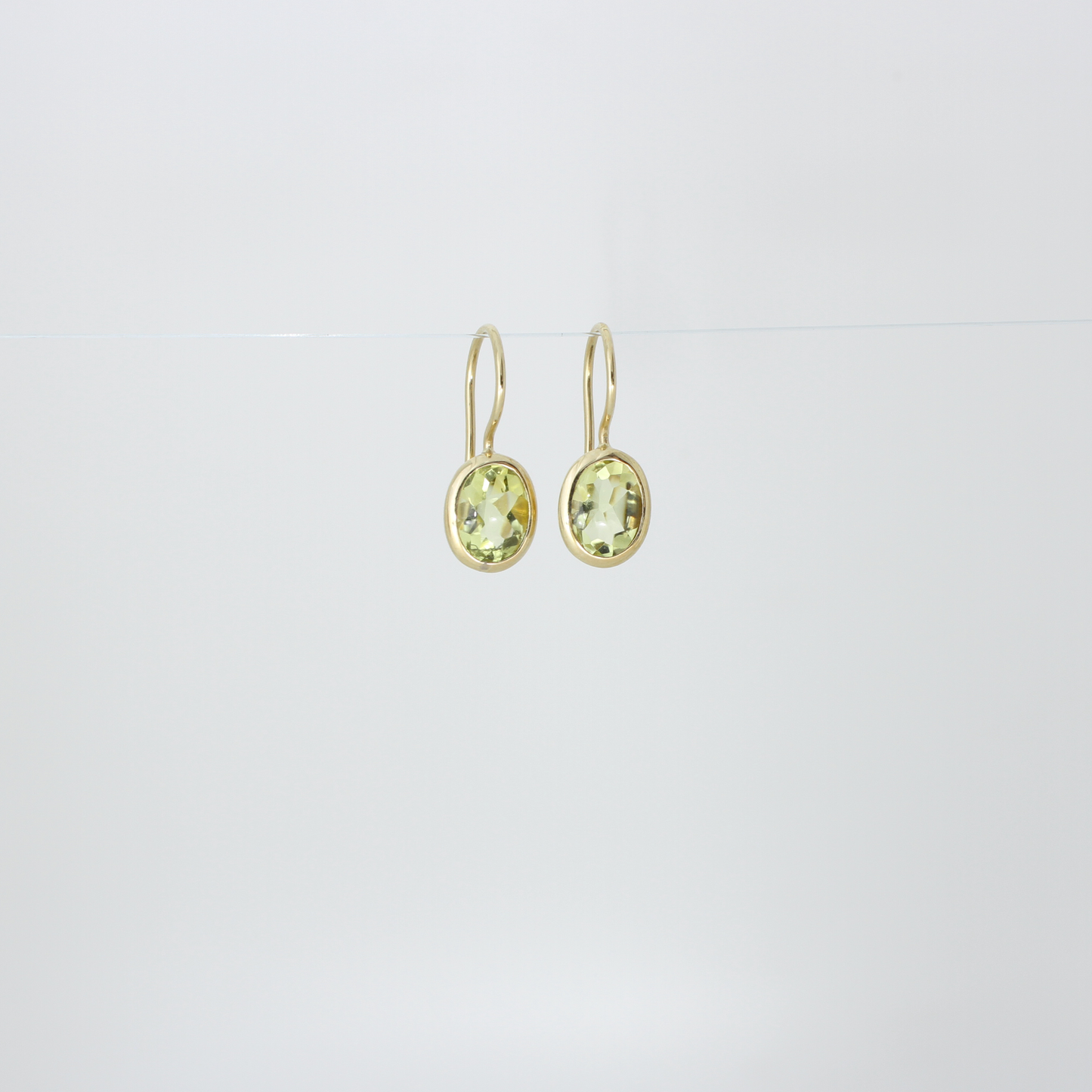 Drop Stone Earrings