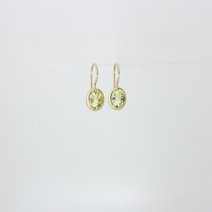 Drop Stone Earrings