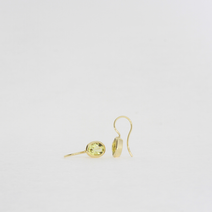 Drop Stone Earrings
