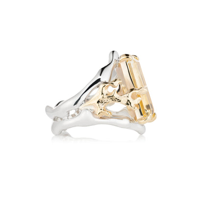 Two-tone gold and silver ring on a white background