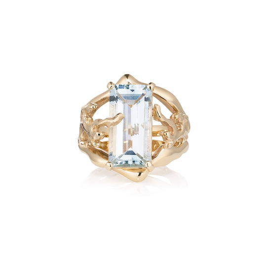 Johannason and Fire Ring